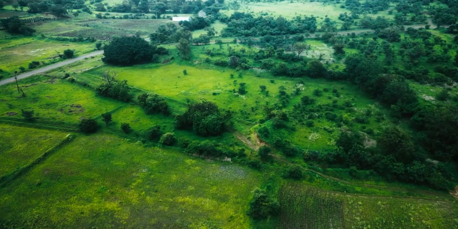 Green developing fields