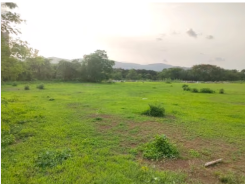 Green countryside near Karjat