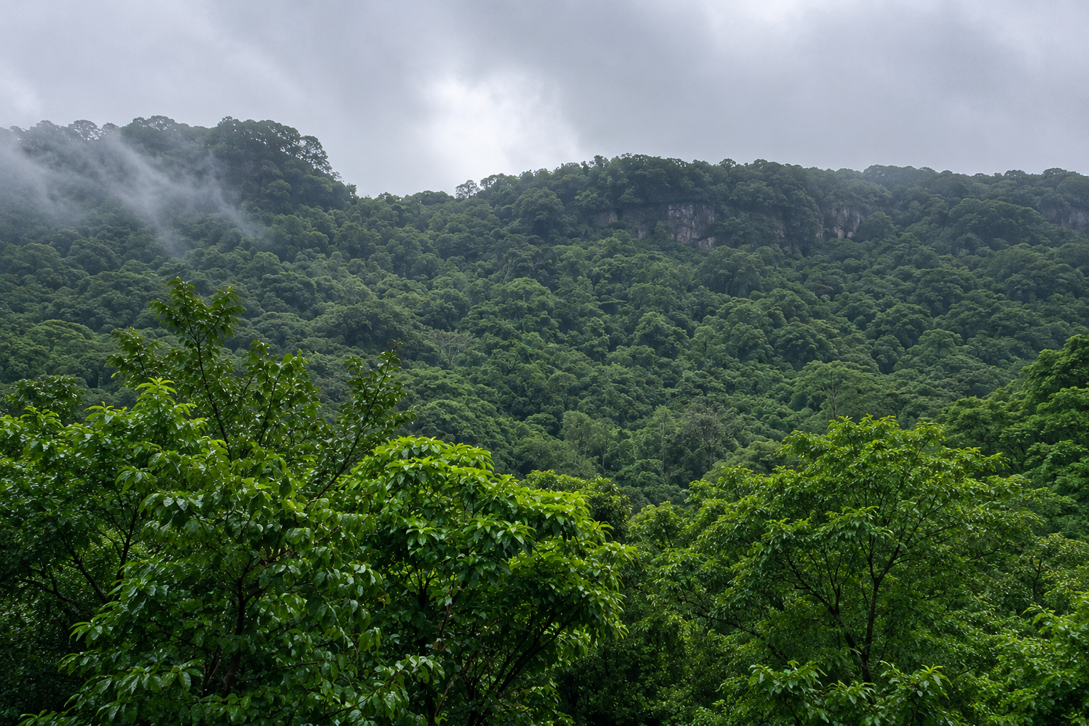 Mahabaleshwar surroundings