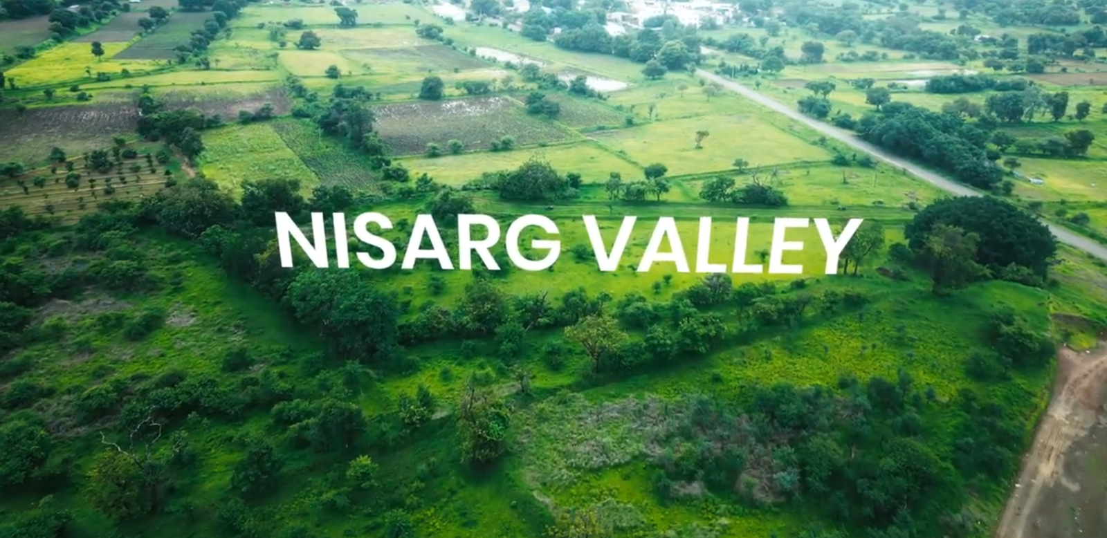 Green farmland fields near Shirwal